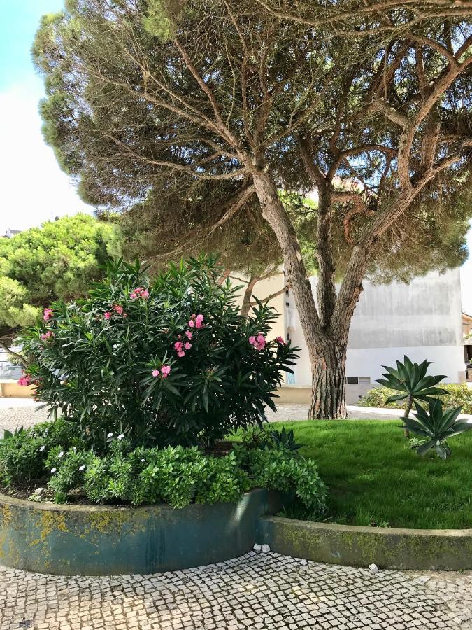 קסקאיס Pine Apartment - A 3M Da Ciclovia Guincho מראה חיצוני תמונה